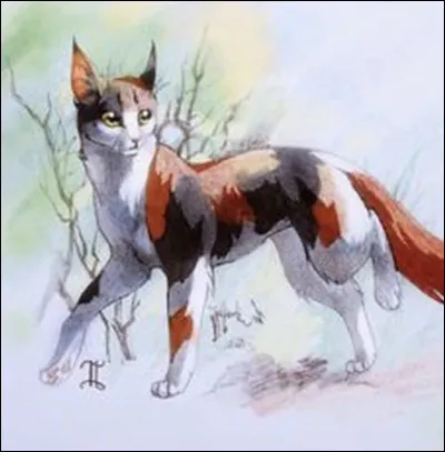 Qui est le personnage myst&egrave;re ?