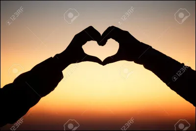 Qui aimerais-tu avoir comme petit ami ?