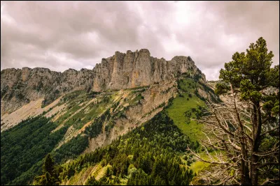 Quel est ton élément ?