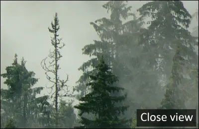 Tout astre visible, except&eacute; le Soleil et la Lune ; point brillant dans le ciel, la nuitBrouillard l&eacute;ger