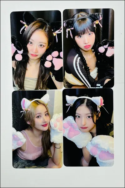 En quelle année ont-elles débuté ?