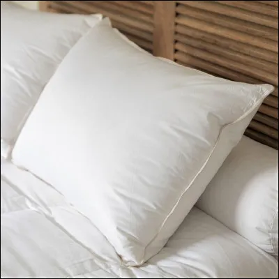 Ton oreiller préféré parmi ceux-ci :