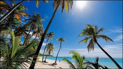 Qui chante "Belle-Île-en-Mer, Marie-Galante" ?