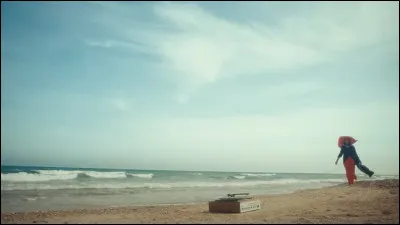 Quelle artiste chante aussi ''La Mer'' ?