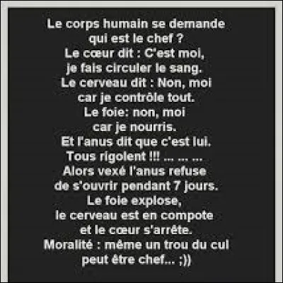 Quel os est le plus petit du corps humain ?