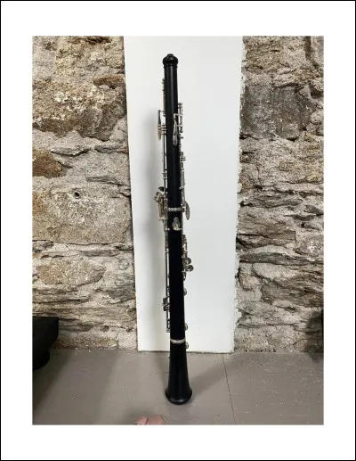 Quel est cet instrument de musique ?