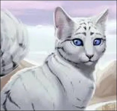 Bon, maintenant... parmi tous ces chats, lequel a eu le plus beau nom, pour toi ?