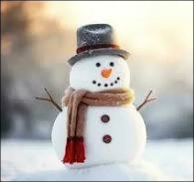 Imagine-toi que c'est l'hiver. Qu'aimes-tu faire, lors de l'hiver ?