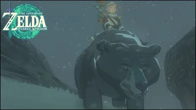 Peut-on enregistrer un ours dans un relais ?
