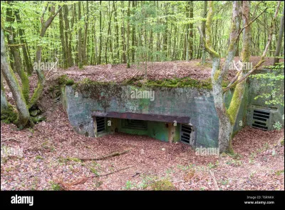 Comment se nommait la ligne de fortifications allemande ?