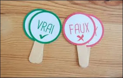 Vrai ou faux : Jean-Jacques Rousseau est un peintre connu.