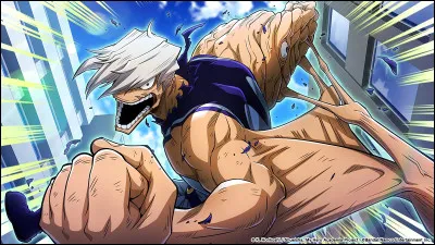 Quel est l'alter de Mezo Shoji ?