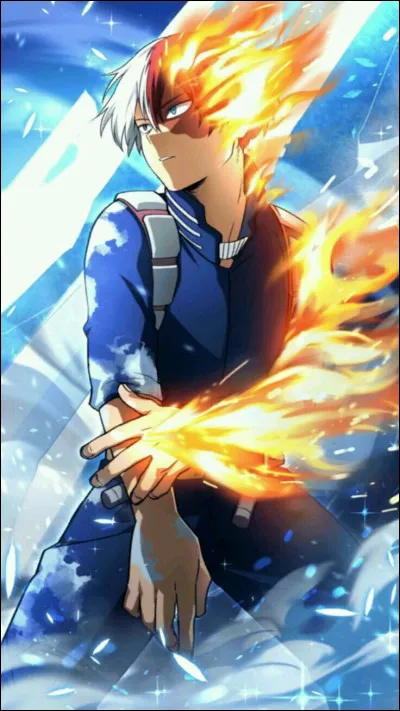 Quel est l'alter de Shoto Todoroki ?