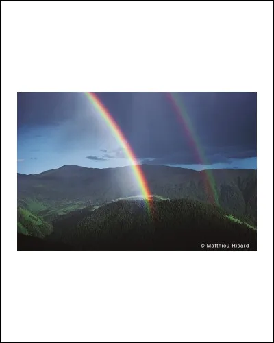 Si tu devais te représenter comme une couleur, laquelle serais-tu ? (2)