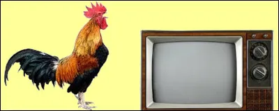 Quel est votre choix ?