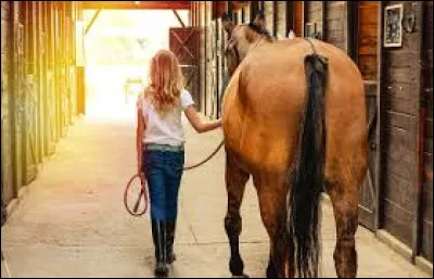 Que faut-il ajouter à "pal" pour obtenir le terme désignant un employé chargé de s'occuper des chevaux ?