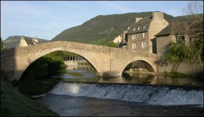 Quel cours d'eau traverse Mende, chef-lieu du département de la Lozère ?