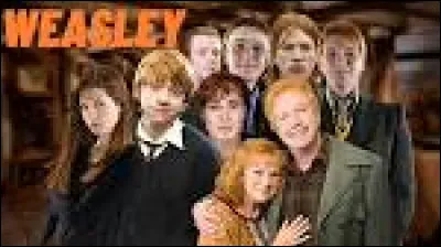 Combien sont-ils dans la famille Weasley ?