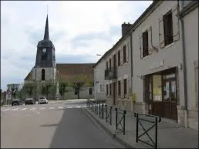 Commune de l'arrondissement de Montargis, dans la région agricole du Gâtinais riche, Nargis se situe dans le département ...