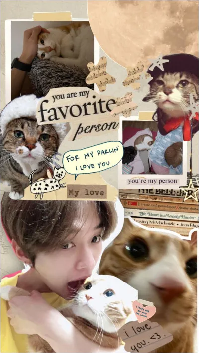 Avant que Lee Know ne t'adopte, où étais-tu ?