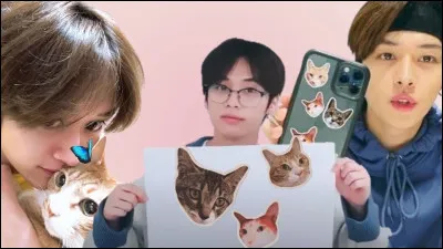 Serais-tu un chat particulièrement "gros" ?