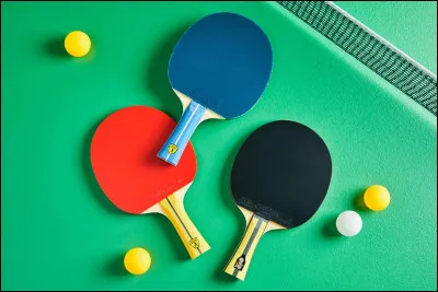 Comment se nomment les frères qui ont gagné l'épreuve de tennis de table, aux JO ?