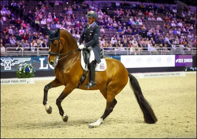 Lors des JO paralympiques, l'équitation était-elle présente parmi les sports ?