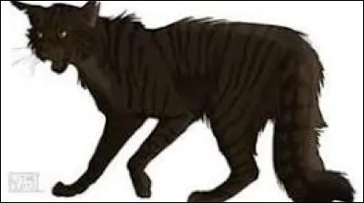 Quel est ton tempérament ?