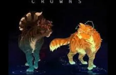 Finis cette phrase : "Je suis..."