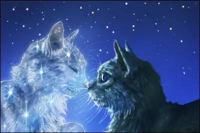 Dans quel cycle Étoile de Feu est-il parti chasser avec le Clan des Étoiles ?