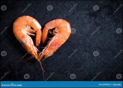 Le cur d'une crevette est situé dans sa tête.