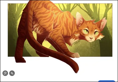 Trouve le chat qui existe !