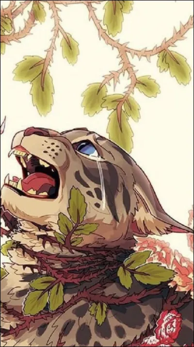 Même question, trouve le bon chat :