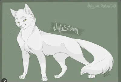 Lequel de ces guerriers a réellement foulé le territoire des clans ?