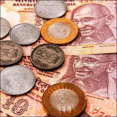 Quel oiseau, dont lespèce la plus courante en Europe sappelle sansonnet, partage son nom avec une personne légère et inconsidérée ?