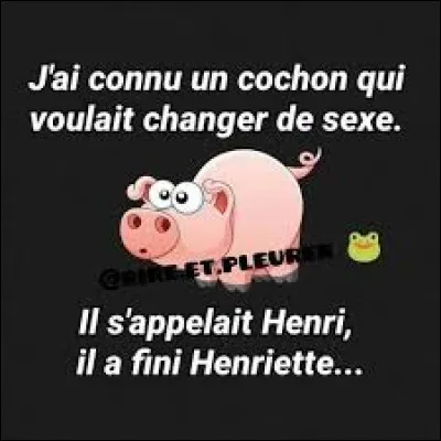 Comment appelle-t-on une personne qui collectionne tout ce qui se rapporte aux cochons ?