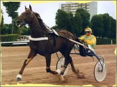 Bellino II a remport&eacute; trois fois le prix d'Am&eacute;rique. En 1975, 1976 et 1977. Quel autre cheval a remport&eacute; &eacute;galement cette course en 1986, 1987 et 1988 ?