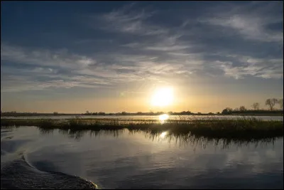 Par quel moyen puis-je visiter les marais du Cotentin ?