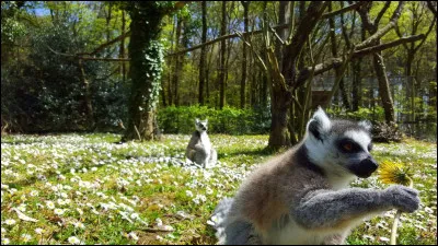Y a-t-il un zoo dans le Cotentin ?