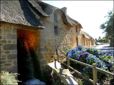Quelle(s) activité(s) propose le moulin à eau de Marie Ravenel ?