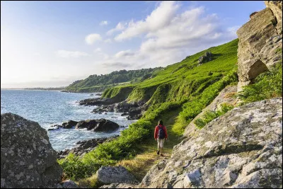 Quel est le nom du grand sentier de randonnée qui fait le tour du Cotentin et de quelle couleur est son balisage ?