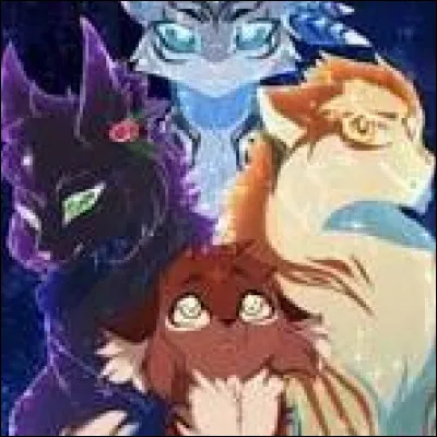 D'accord, et quel est ton temp&eacute;rament ?