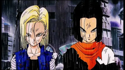 Quel est le lien entre ces deux cyborgs ?