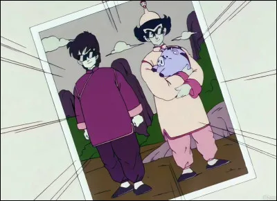 Qui est Tsuru Sennin (le Maître des Grues) pour Kame Sennin (Tortue Géniale) ?