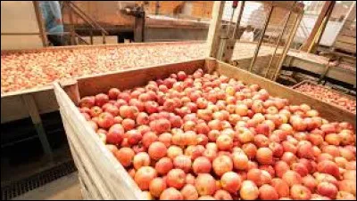 Quel est le plus grand producteur de pommes de la plan&egrave;te ?