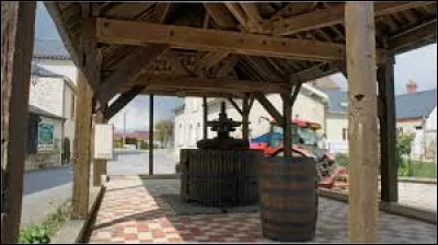 Nous terminons notre promenade sous la halle de Janvry. Village de l'arrondissement de Reims, il se situe dans le département ...