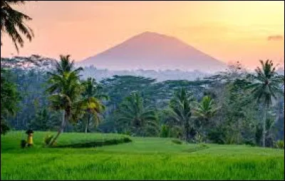 Lequel de ces pays est bicontinental ?