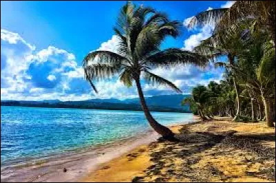 Laquelle de ces îles est la plus grande des Grandes-Antilles ?