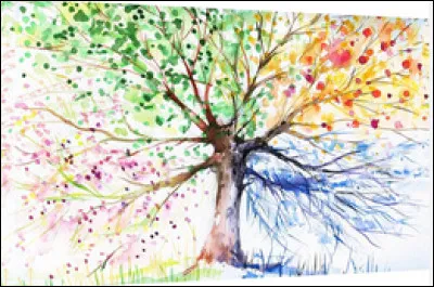 Ta saison pr&eacute;f&eacute;r&eacute;e, c'est :