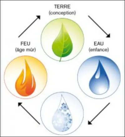 Quel est ton élément (2) ?
